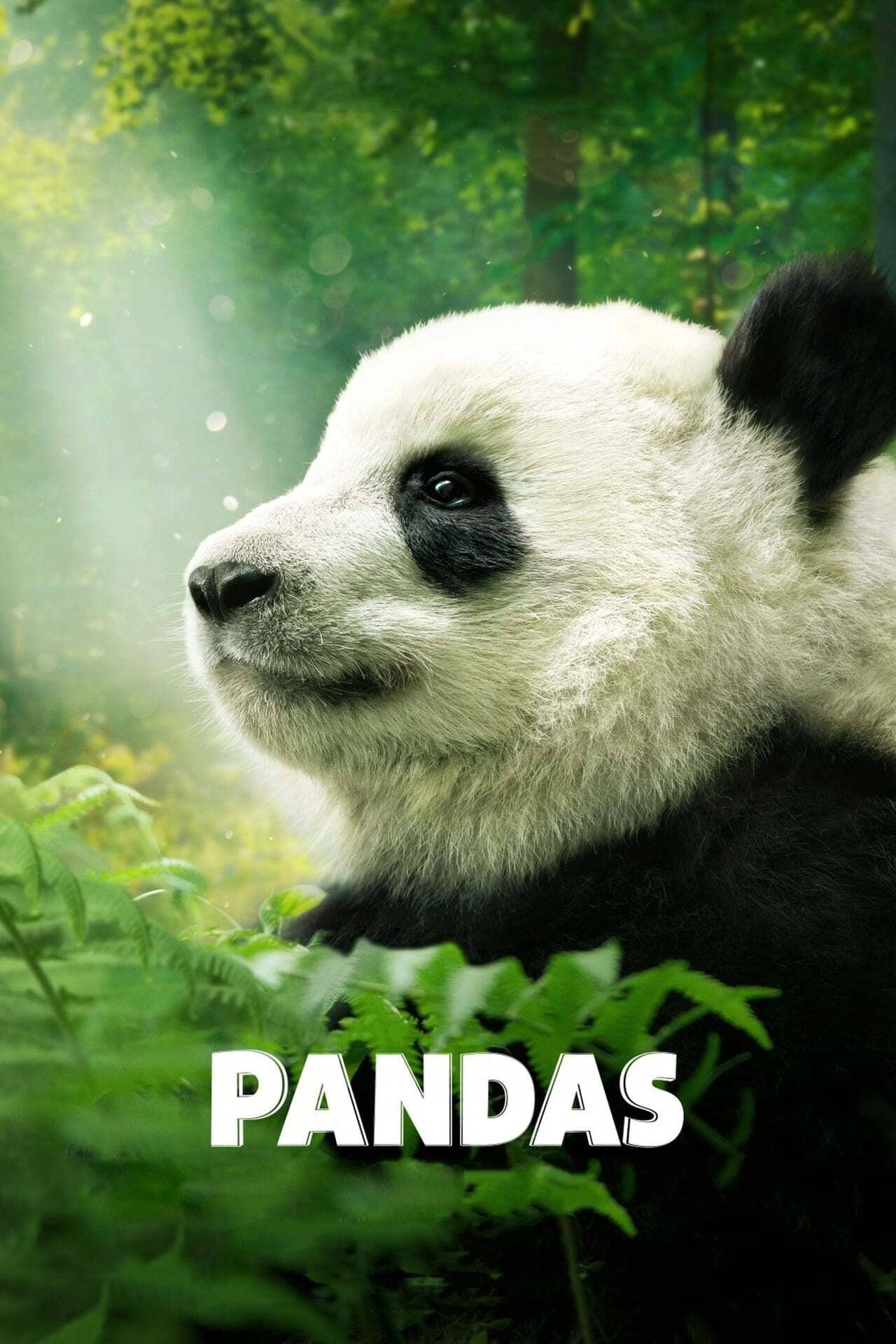 Movie Background