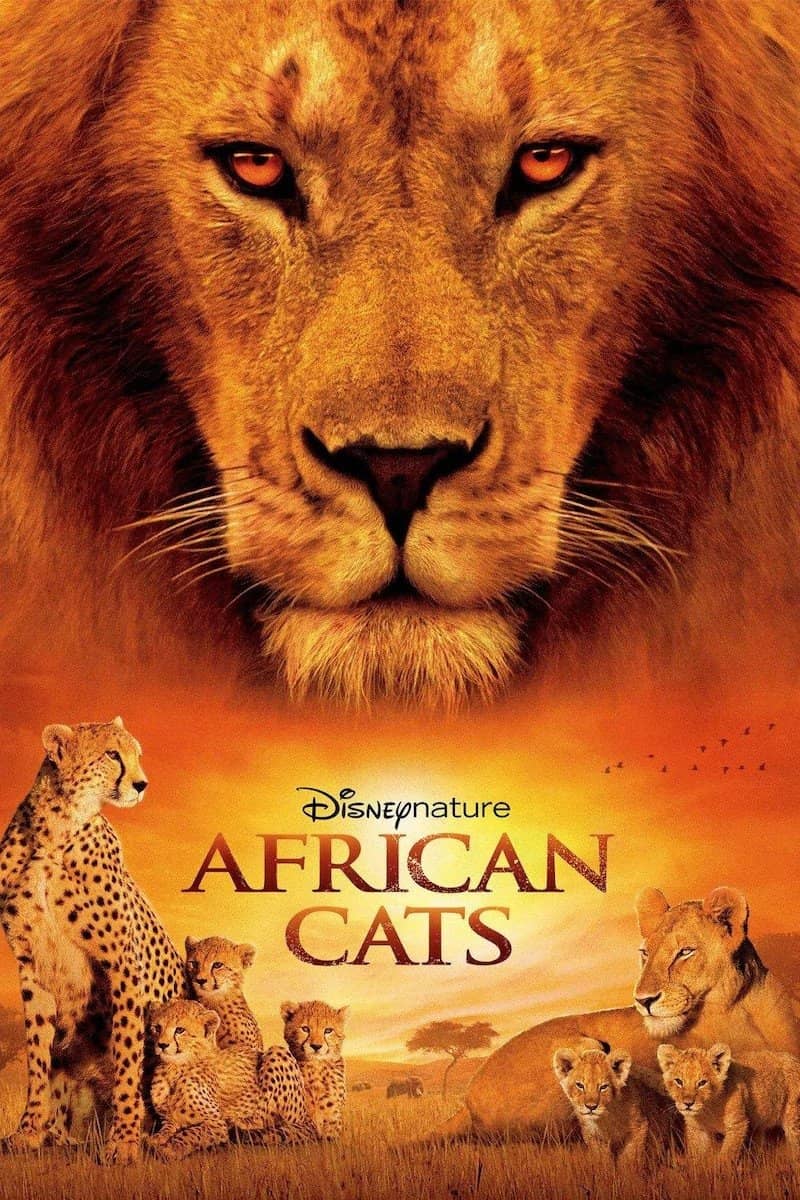 Movie Background