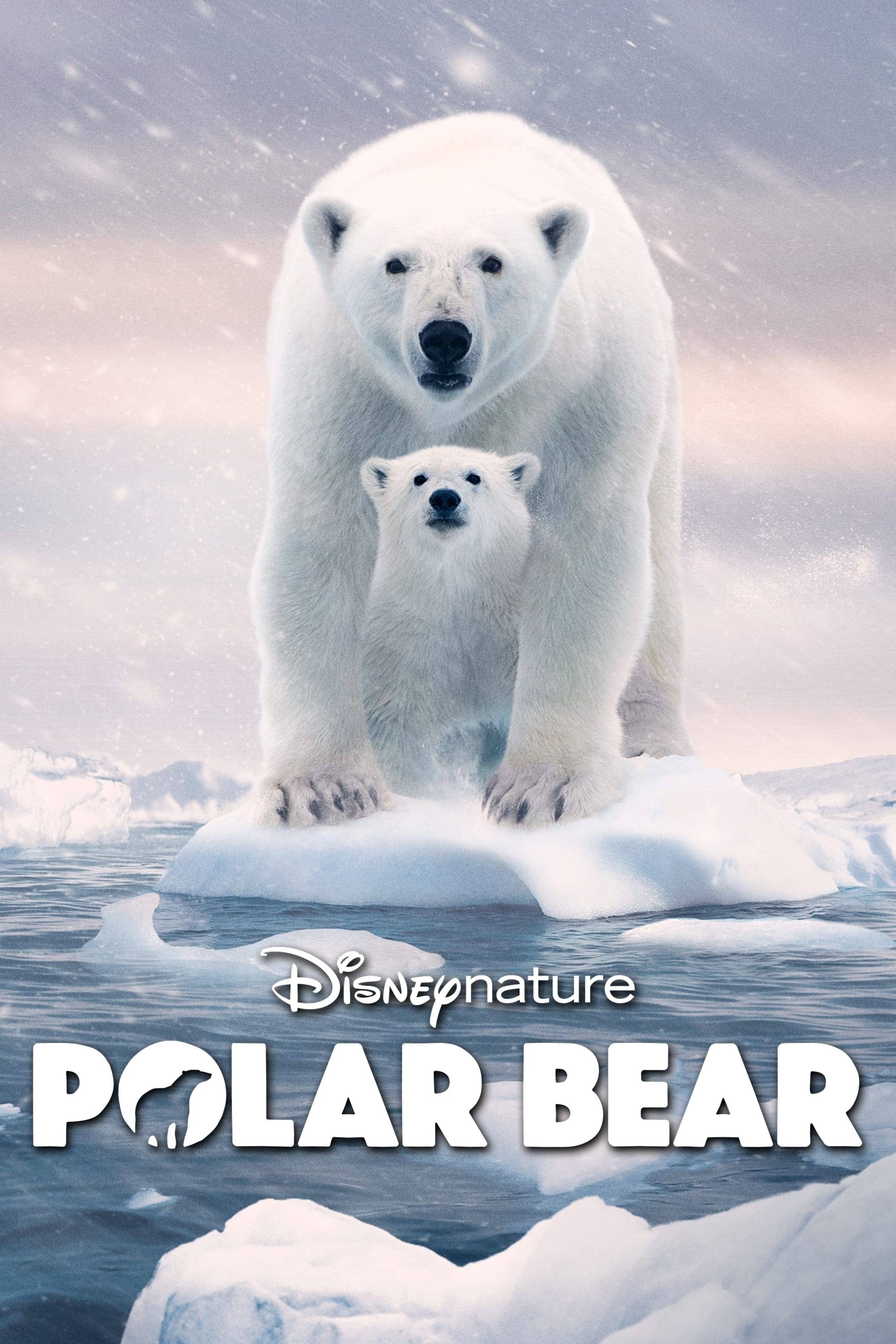 Movie Background