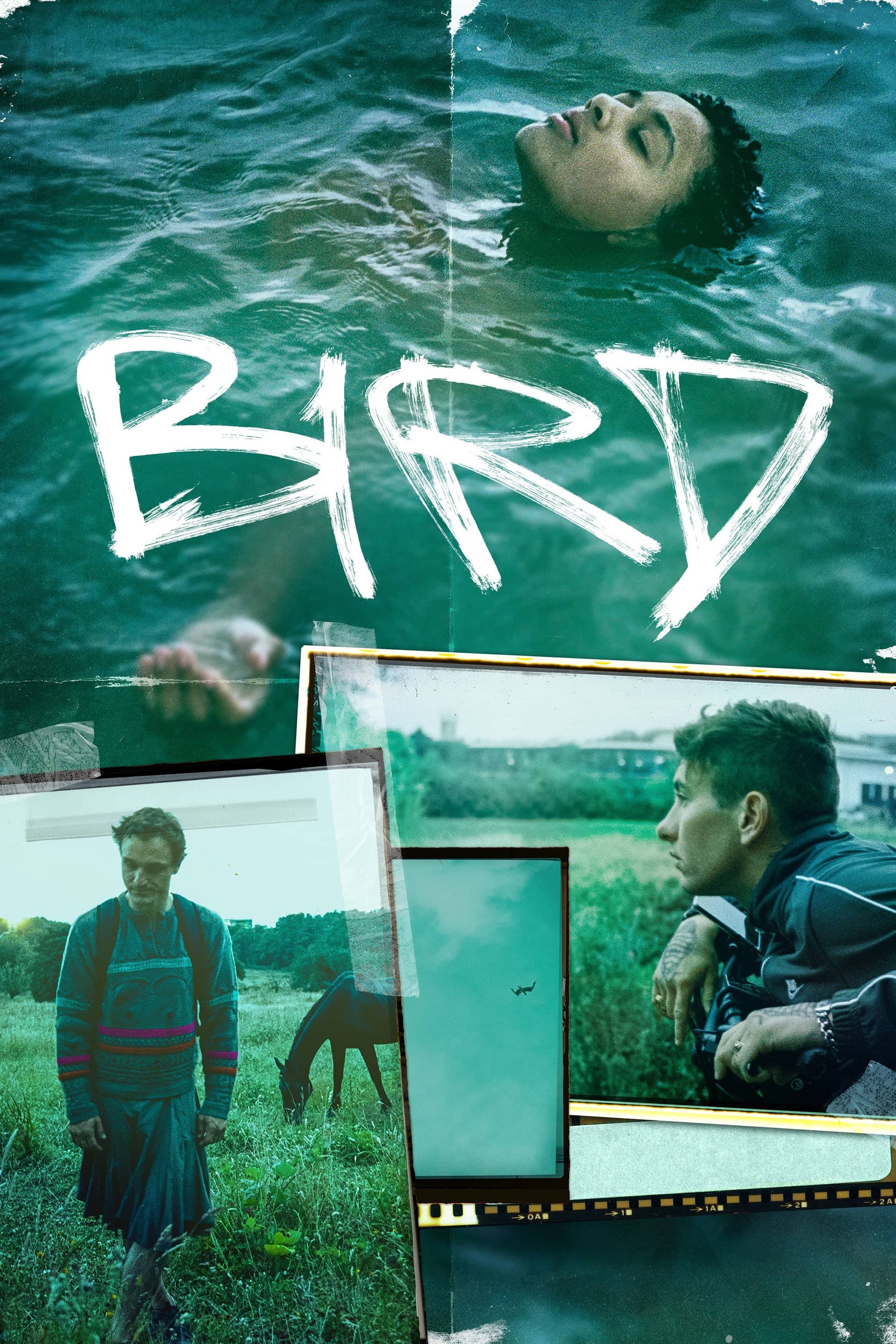 Movie Background