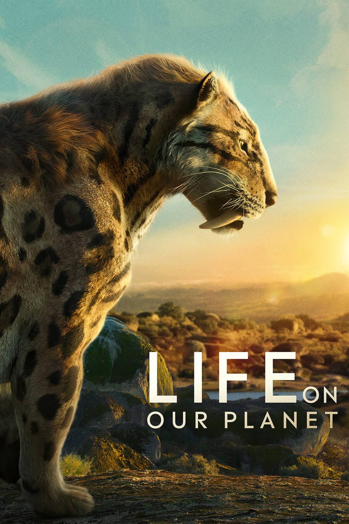 Movie Background