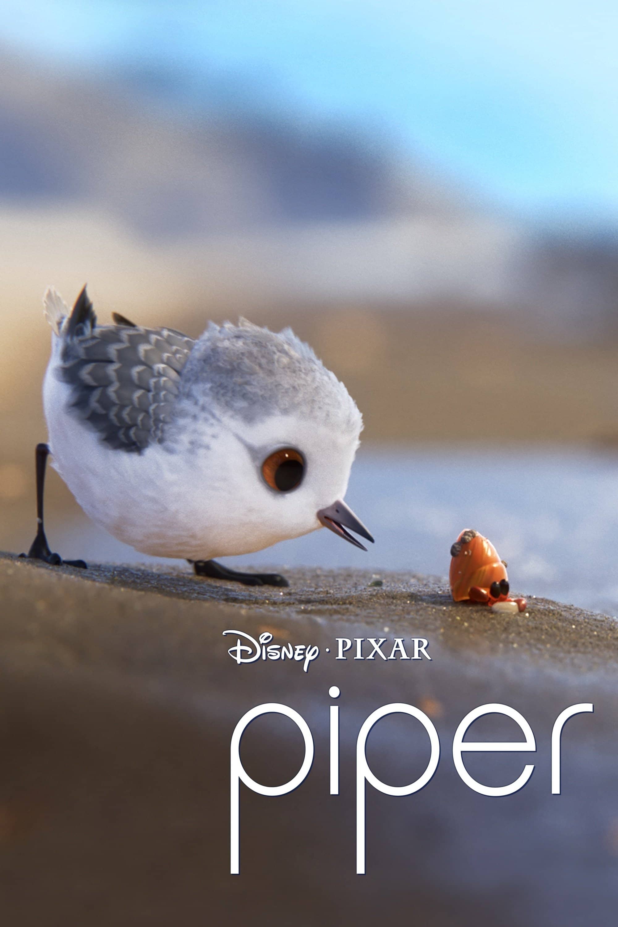 Movie Background