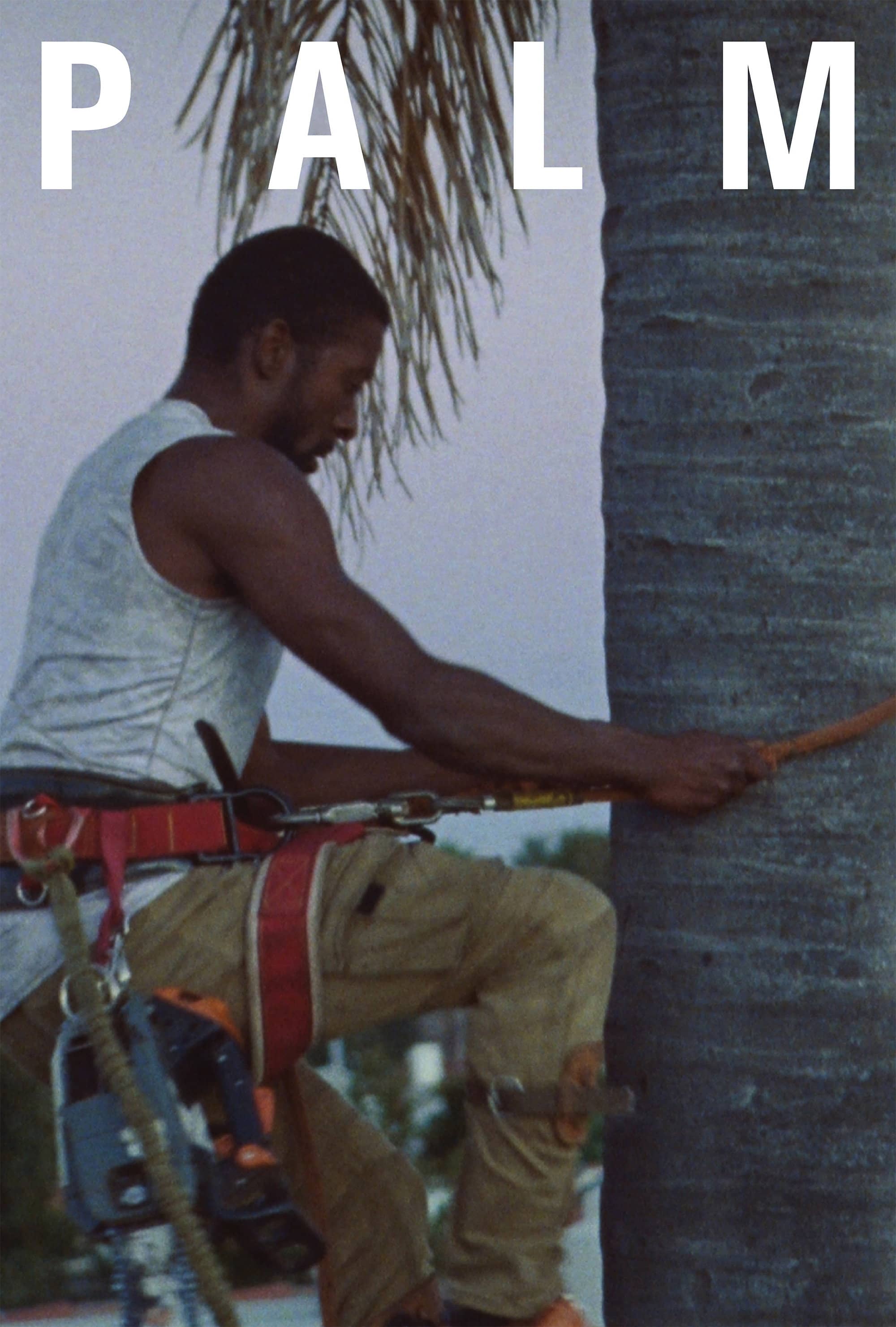 Palm