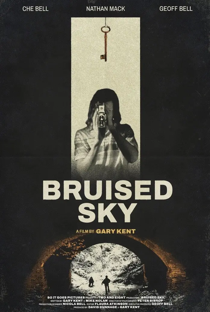 Bruised Sky