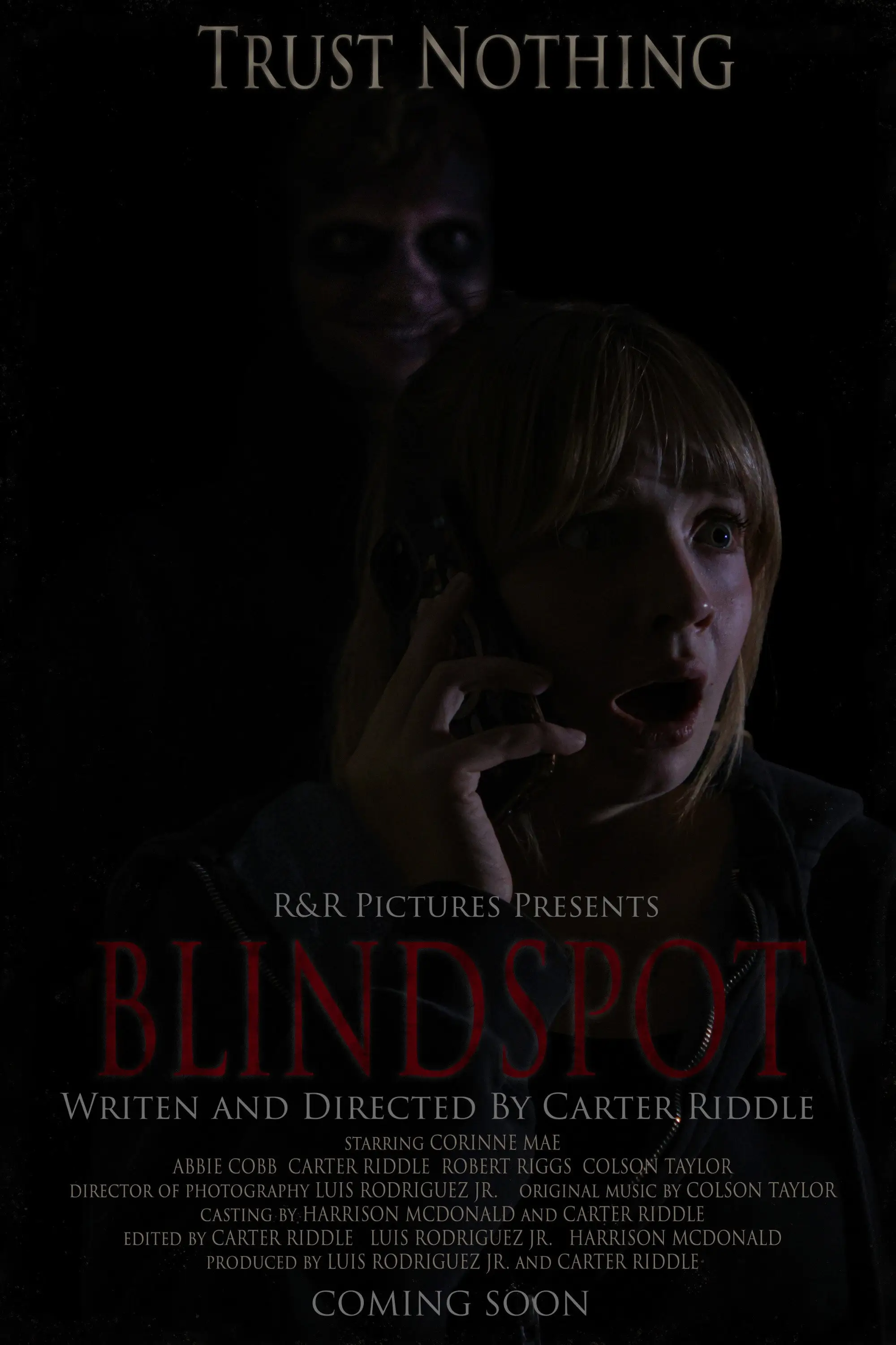 BLINDSPOT