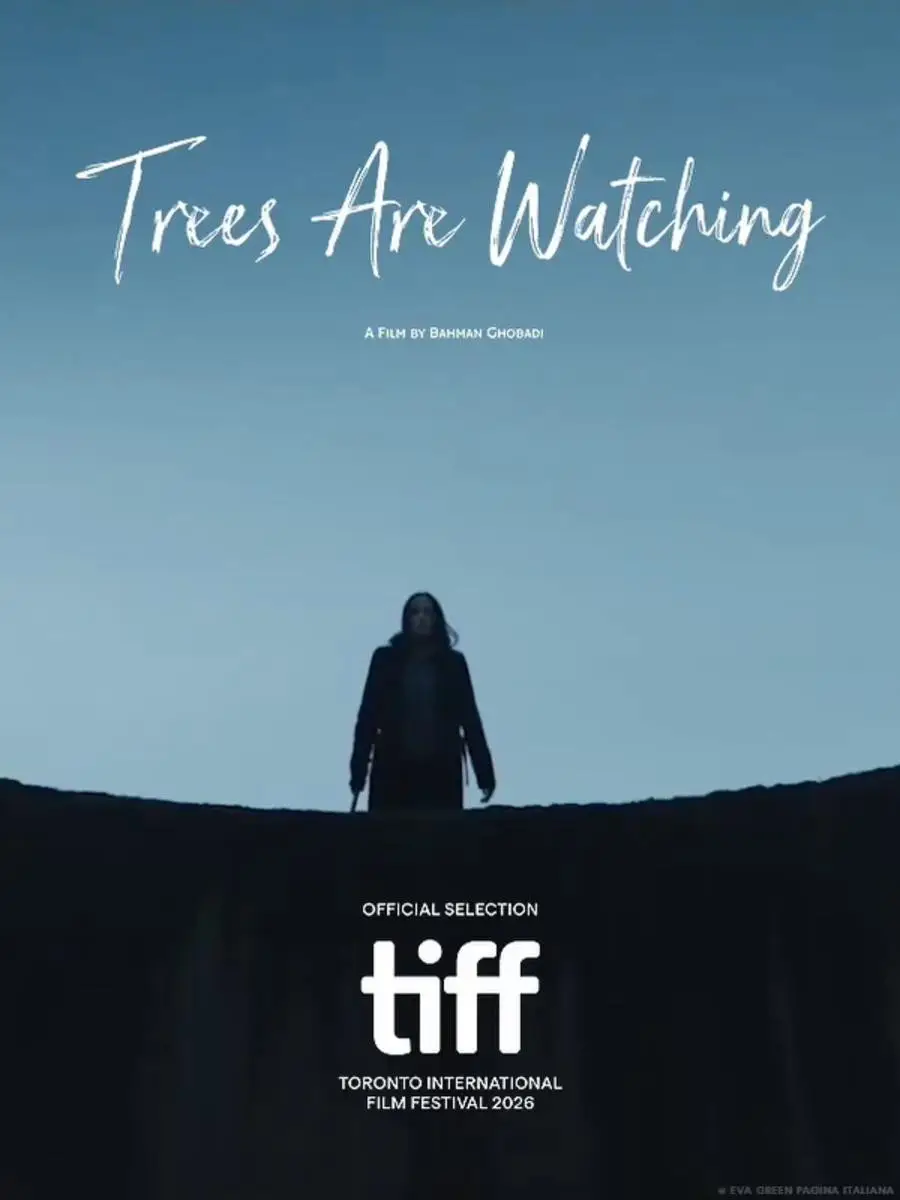 Trees Are Watching