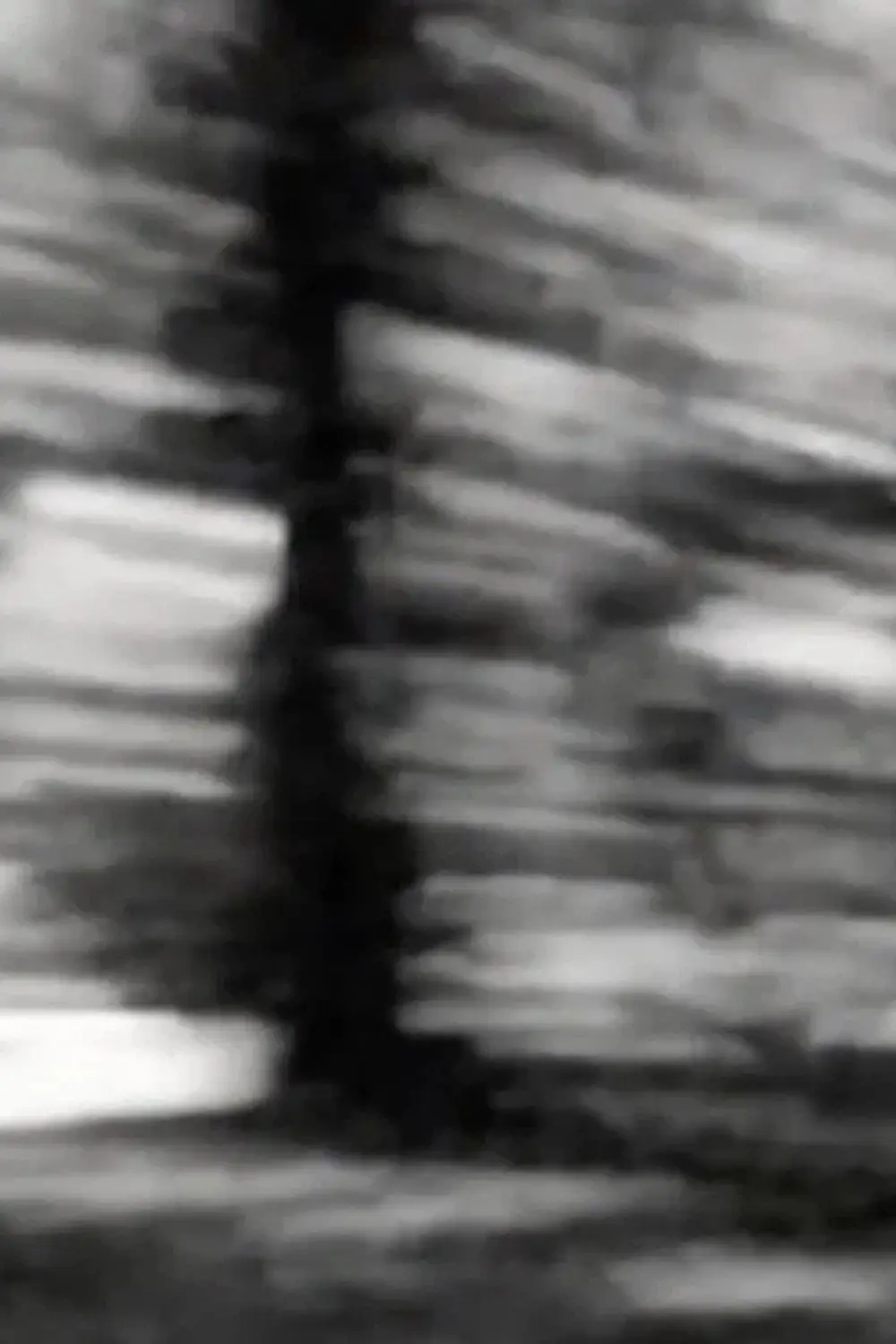 Movie Background