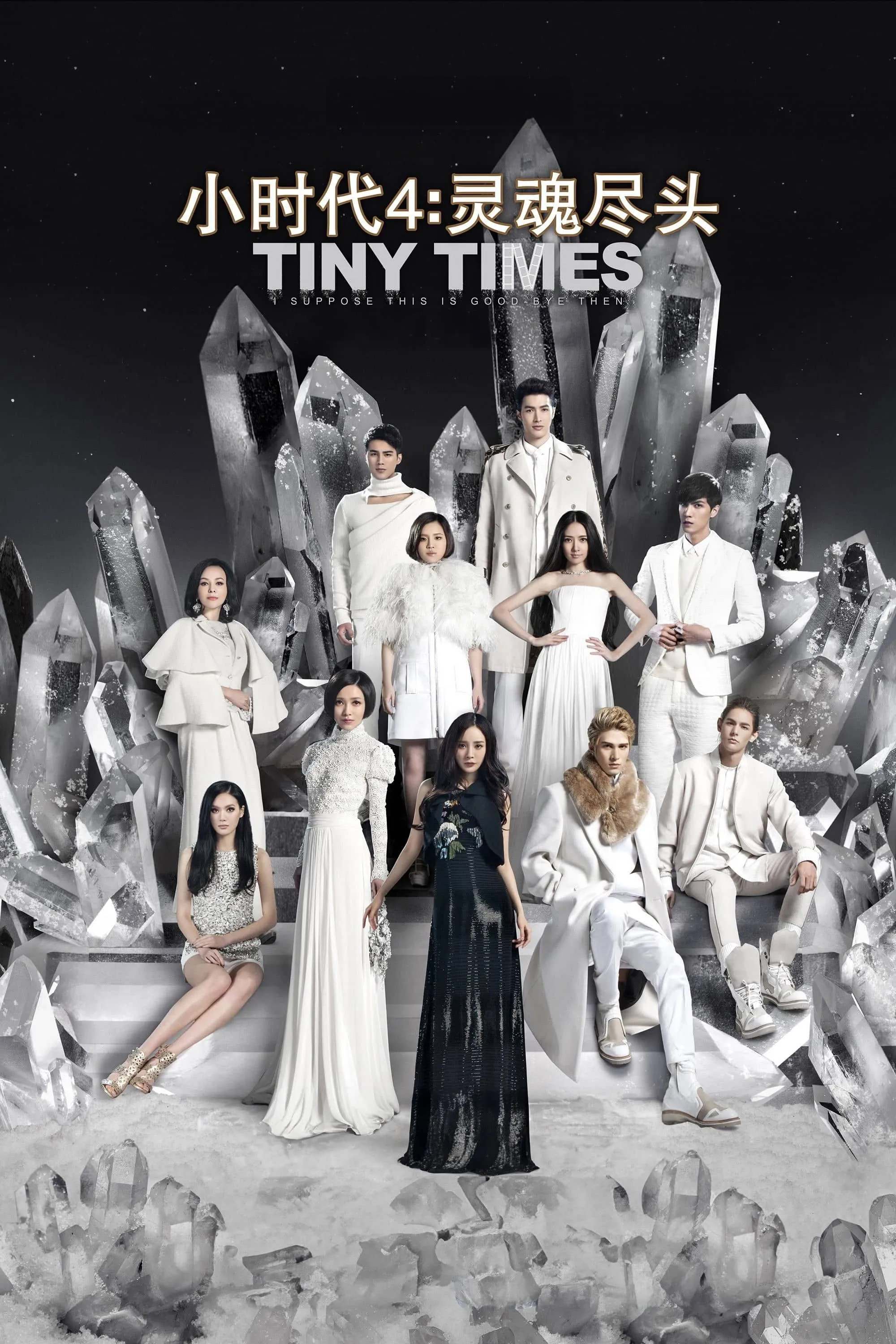 Tiny Times 4