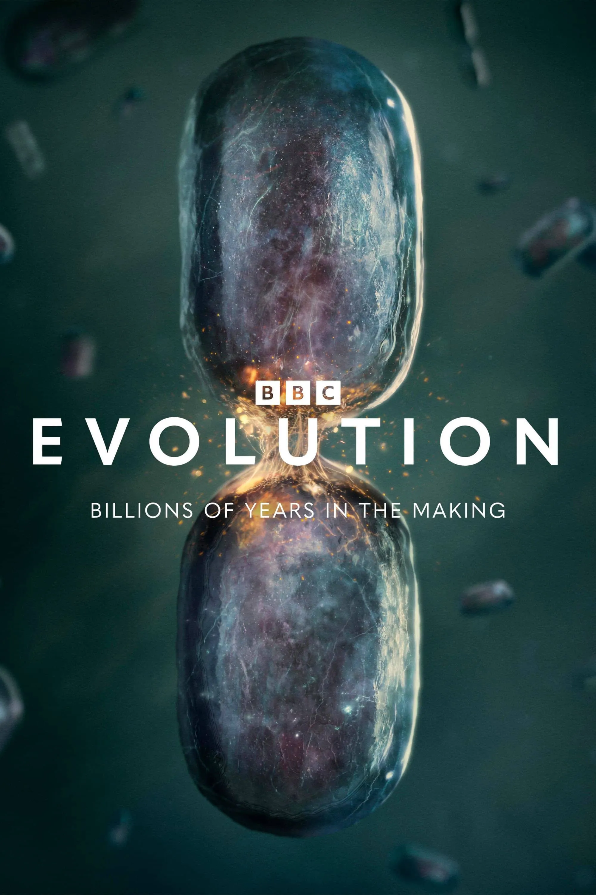 Evolution