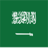 Saudi Arabia national team logo