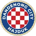 Dandenong City FC