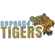 Rupganj Tigers Cricket Club