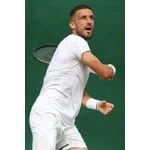 Damir Dzumhur