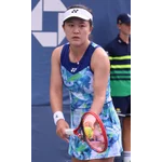 Lin Zhu