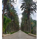 Rishon