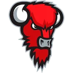 Bisons