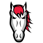 Leicester Riders