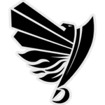 Raiders Tirol