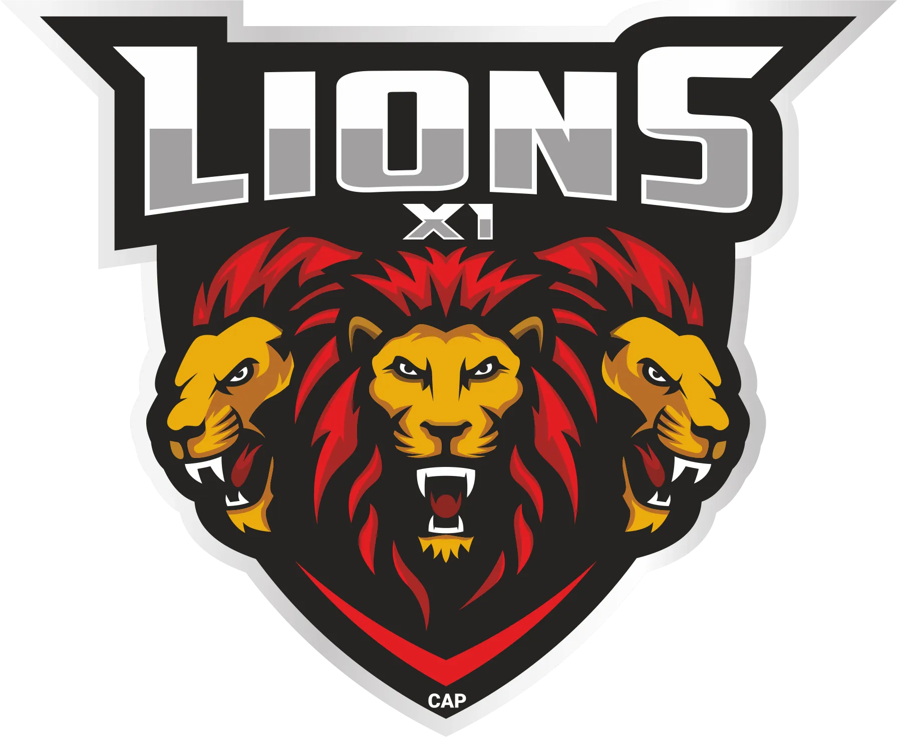 Lions XI