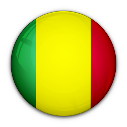 International flag