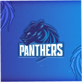 Panthers