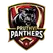 Pruthvi Panthers