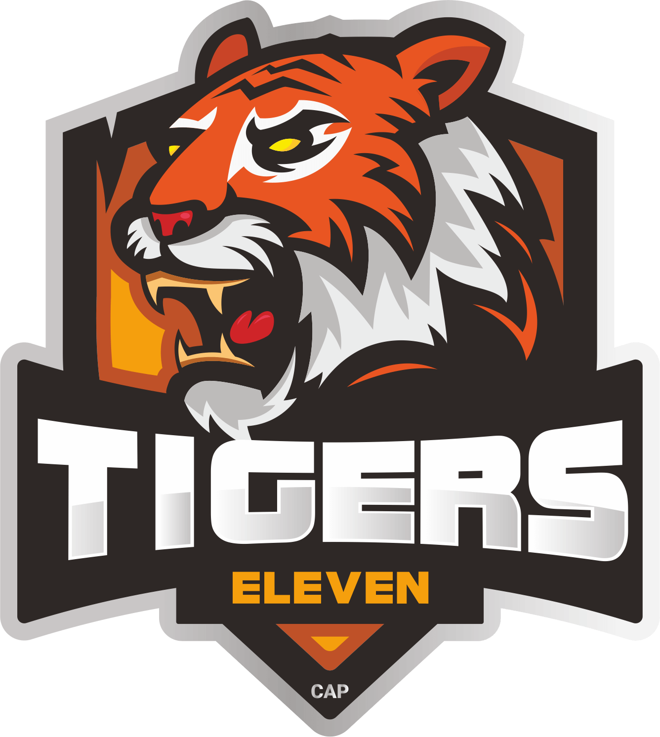 Tigers XI