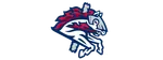 Binghamton Rumble Ponies