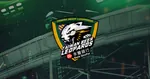 Taoyuan Taiwan Beer Leopards