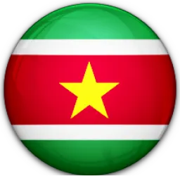 Suriname flag