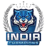 India flag