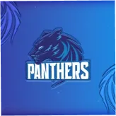 Panthers