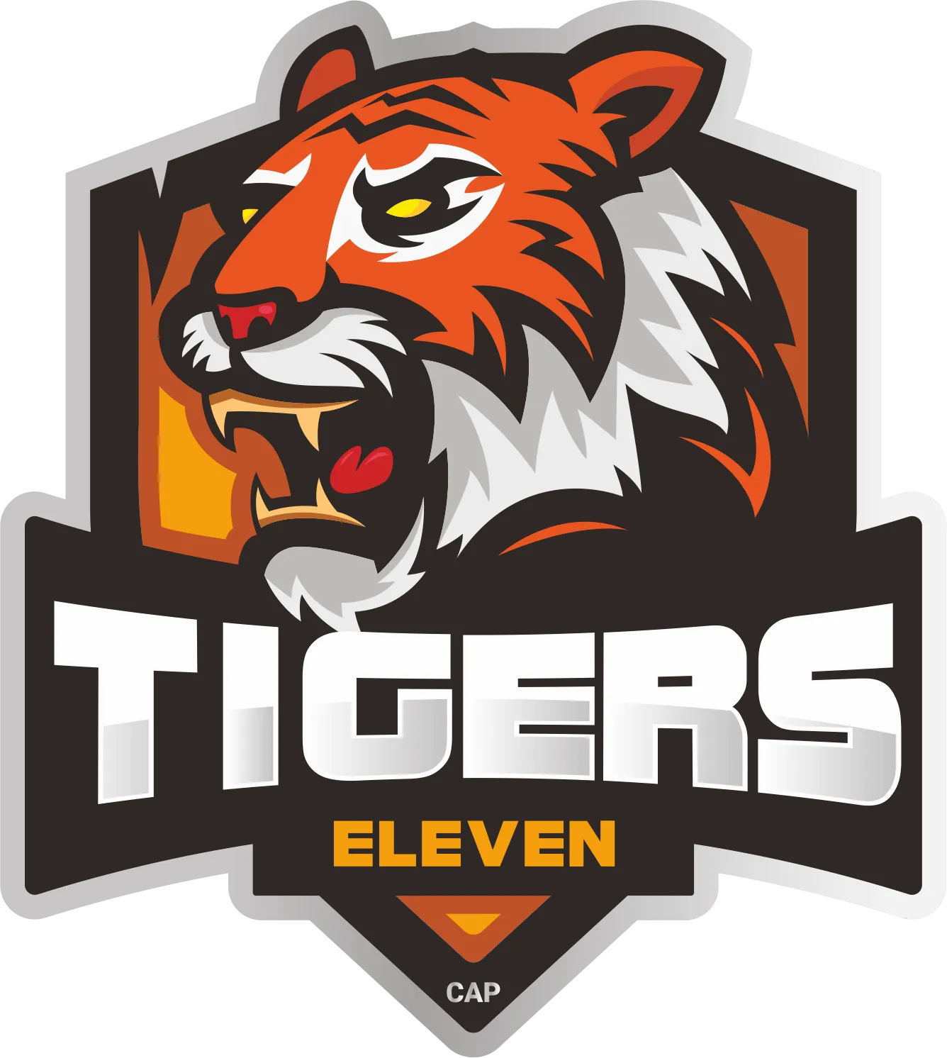 Tigers XI